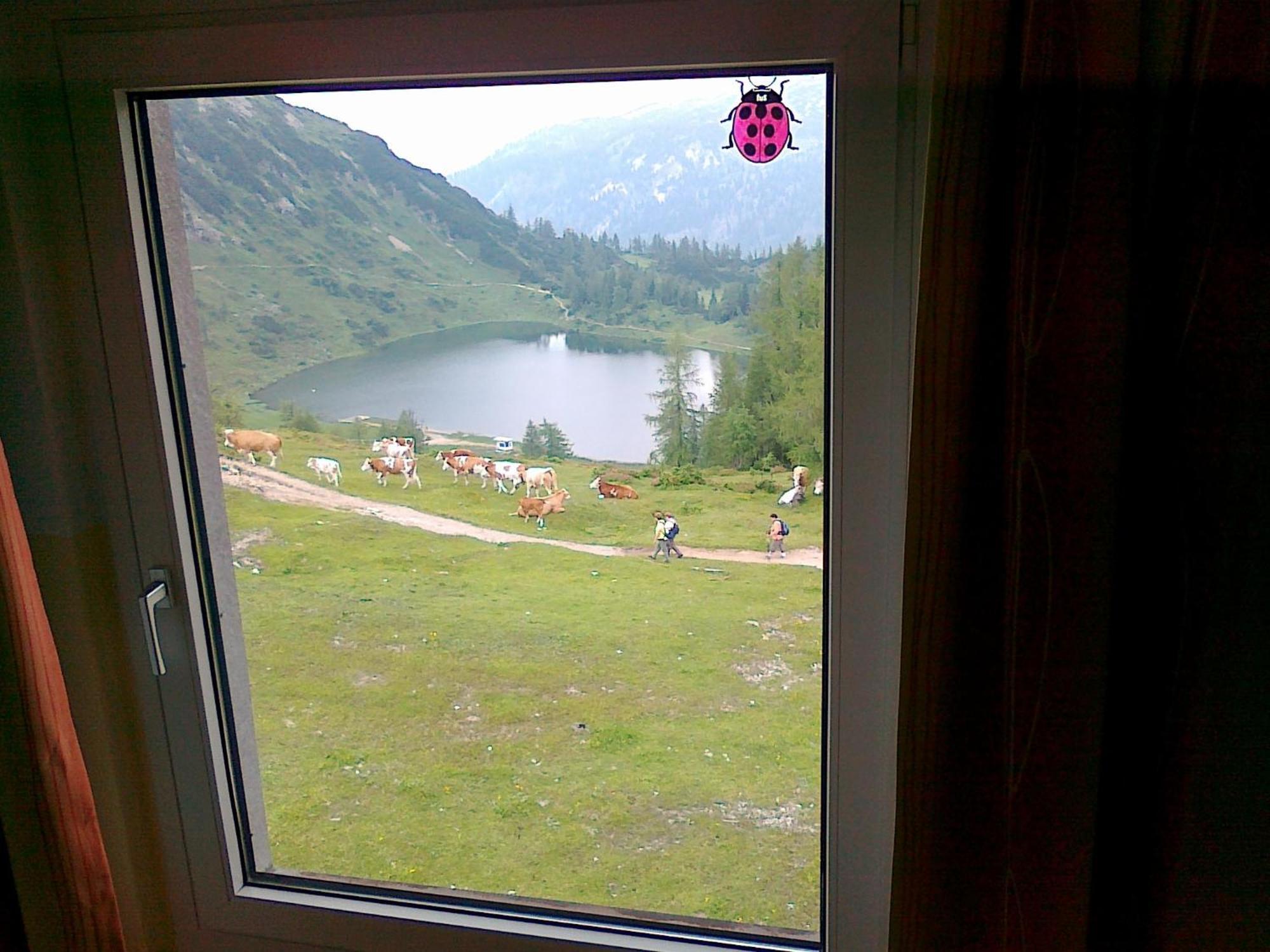 Hotel Berghof Tauplitzalm Ngoại thất bức ảnh